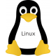 Linux Live 12 Pack USB 32-bit